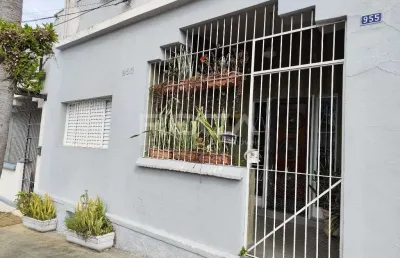 Aluguel de casa padrão com 3 dormitórios na vila monteiro, são carlos