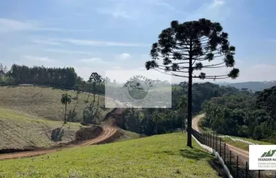 Terreno condomínio fechado em campo alegre, escriturado, aceita carro no negocio