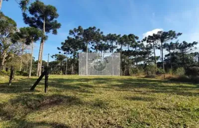 Terreno 8.142 m², escriturado, pode ser financiado pelo banco, varias opções de lotes