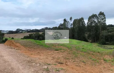 Terreno para sitio com 20.000 m², com riacho e nascente, apenas 3,5 km do asfalto