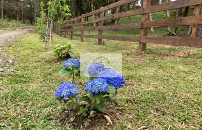 Terreno em campo alegre com 99.000 m², com pastagem, uma linda lagoa, escriturado