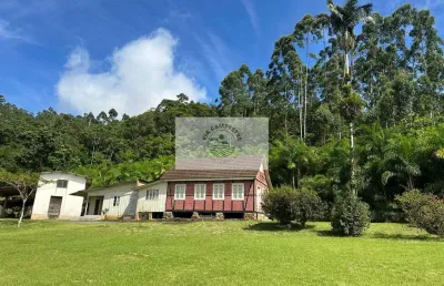 Sítio com 675.970 m², escriturado, com arrozeira, pastagem, bananal e casa, analisa negociação