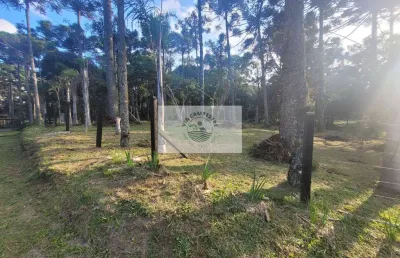 Terreno com 824 m², area central de campo alegre, escriturado