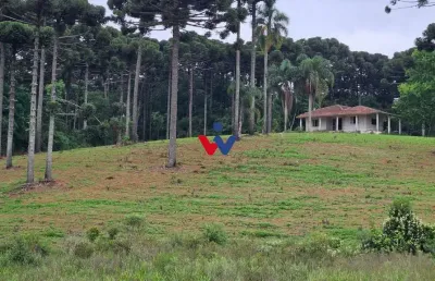 Fazenda com 3 dormitórios à venda, 1694000 m  por r  24.500.000,00 - zona rural - contenda pr
