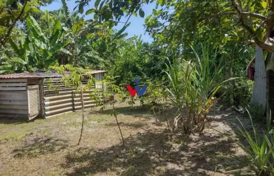 Chácara com 2 dormitórios à venda, 1820 m  por r  225.000,00 - alexandra - paranaguá pr