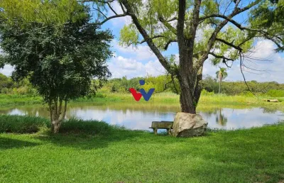 Chácara com 2 dormitórios à venda, 40099 m  por r  730.000,00 - iguaçu - araucária pr