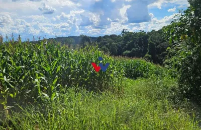 Chácara à venda, 36400m   em catanduvas do sul - pr zona rural de contenda-pr