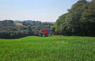 Chácara à venda, valor a partir de r 550.000,00, roça nova, araucaria - pr