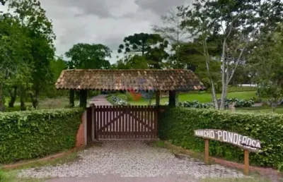 Chácara à venda,18300.00 m , area rural, sao jose dos pinhais - pr