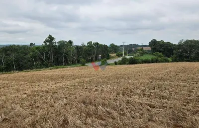 Chácara com 17000m  , com uma linda vista, frente para o asfalto, no guajuvira em araucária