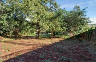 Terreno de 3.000m² disponível para locação - ribeirânia