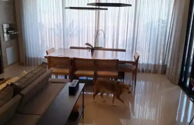 Apartamento padrão de 158m² disponível para locação - jardim olhos d`água ii