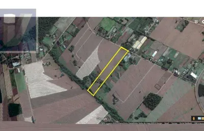 Chácara à venda, 69212 m² - gleba patrimônio maringá - maringá/pr