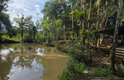 Sítio impecável em joinville — estrada dos morros, próximo ao bairro vila nova
