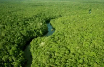 Fazenda à venda na Zona Rural, Eirunepé 