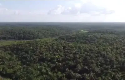Excelente oportunidade de arrendamento agrícola no maranhão