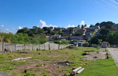 Aluga-se terreno comercial - 300m² - ulisses guimarães - monte sua empresa aqui!