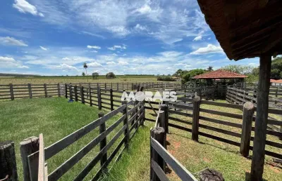 Fazenda à venda, 115 alqueires por r$ 27.000.000 - jacuba - arealva/sp