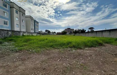 Terreno à venda, 2000 m² por r$ 1.800.000,00 - núcleo colonial de pinhais - pinhais/pr