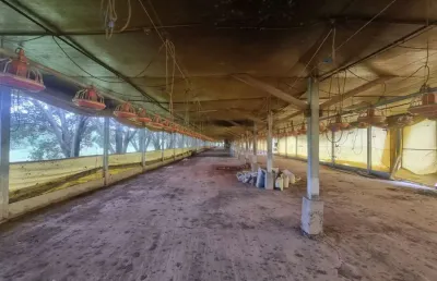 Terreno, 1788 m² - venda por r$ 150.000 ou aluguel por r$ 2.500/mês - americaninha - boituva/são paulo