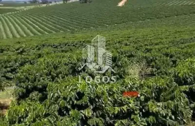 Linda fazenda com 550 hectares de café em minas gerais! - 03