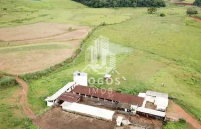 Linda fazenda com 1.550 hectares em palma -  mg - 01