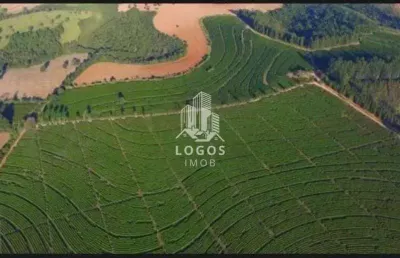 Maravilhosa fazenda de café com 2.100 alqueires em minas gerais