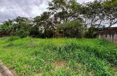 Terreno à venda em Benedito, Indaial 