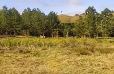 Terreno à venda em Cedro Alto, Rio dos Cedros 