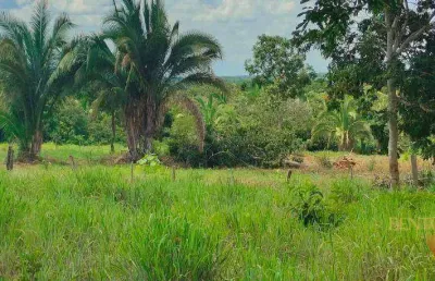 Chácara com 2 dormitórios à venda, 100000 m² por r$ 350.000 - zona rural - nossa senhora do livramento/mt