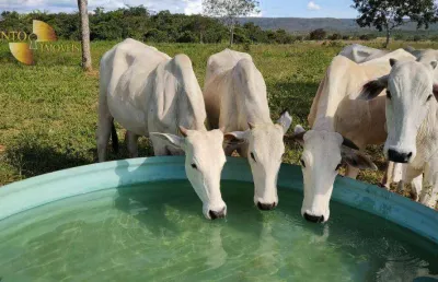 Fazenda à venda, 5080000 m² por r$ 16.000.000,00 - vila bom jardim - nobres/mt