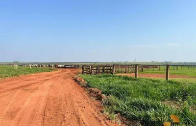 Fazenda à venda, 20200000 m² por r$ 133.000.000 - zona rural - navirai/ms
