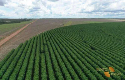 Fazenda à venda, 53000000 m² por r$ 500.000.000 - zona rural - joão pinheiro/mg