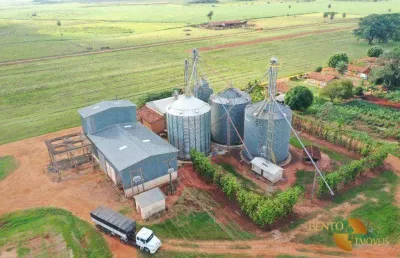 Fazenda à venda, 48600000 m² por r$ 195.000.000 - santa terezinha - nova andradina/ms