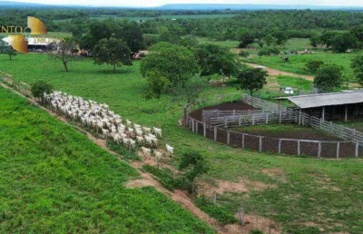 Fazenda à venda, 30000000 m² por r$ 39.000.000,00 - zona rural - rosário oeste/mt