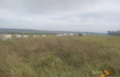 Fazenda à venda, 3520000 m² por r$ 16.000.000,00 - rural - campo verde/mt