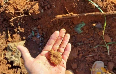Fazenda à venda, 12300000 m² por r$ 43.050.000 - zona rural - rosário oeste/mt