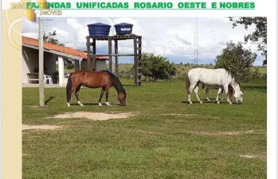 Fazendas unificadas rosário oeste e nobres à venda, 140000000 m² por r$ 232.400.000 - zona rural - rosário oeste/mt