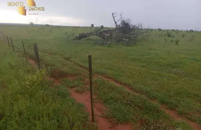 Fazenda à venda em primavera do leste, 45000 m² por r$ 120.000.000 - zona rural - primavera do leste/mt