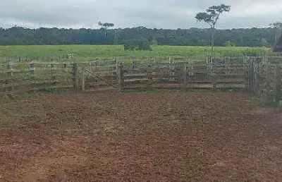 Fazenda à venda, 15890000 m² por r$ 36.000.000,00 - novo horizonte - paranatinga/mt