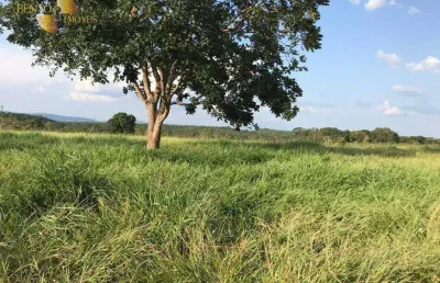 Fazenda à venda, 3500000 m² por r$ 8.000.000,00 - zona rural - rosário oeste/mt