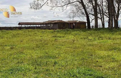Fazenda à venda, 60000000 m² por r$ 200.000.000,00 - zona rural - primavera do leste/mt