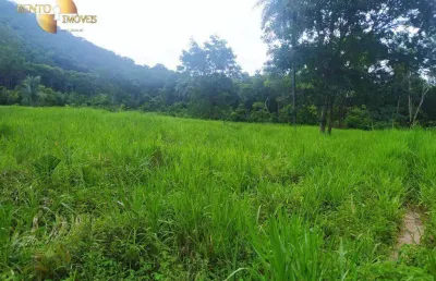 Sítio à venda, 1000000 m² por r$ 1.600.000,00 - zona rural - cuiabá/mt