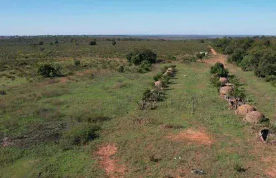 Fazenda à venda, 23490000 m² por r$ 61.074.000,00 - zona rural - ribas do rio pardo/ms