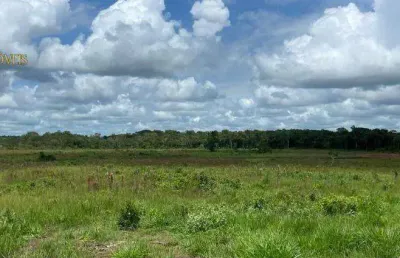 Fazenda à venda, 90 hectares por r$ 2.600.000 - zona rural - pimenta bueno/ro