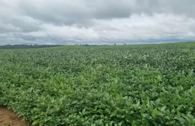 Fazenda à venda, 9300000 m² por r$ 100.000.000,00 - zona rural - porto velho/ro