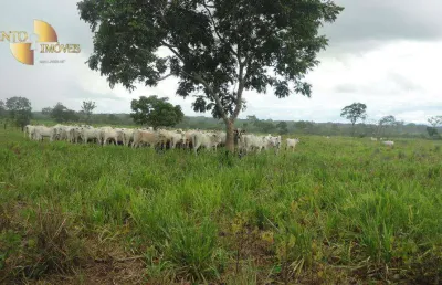 Fazenda à venda, 8360000 m² por r$ 30.000.000,00 - zona rural - rosário oeste/mt