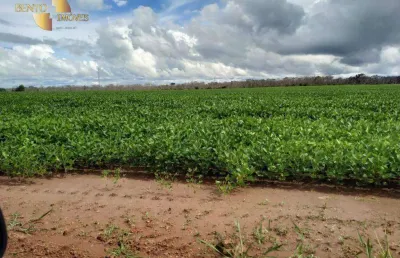 Fazenda, 50000000 m² - venda por r$ 51.000.000 ou arrendamento por r$ 10.000/mês - zona rural - guarantã do norte/mt