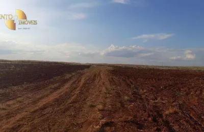 Fazenda para arrendamento, 90000000 m² por r$ 10.000/mês - zona rural - tangará da serra/mt