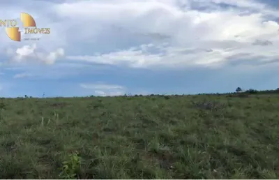 Fazenda para arrendamento, 15000000 m² por r$ 10.000/mês - zona rural - paranatinga/mt